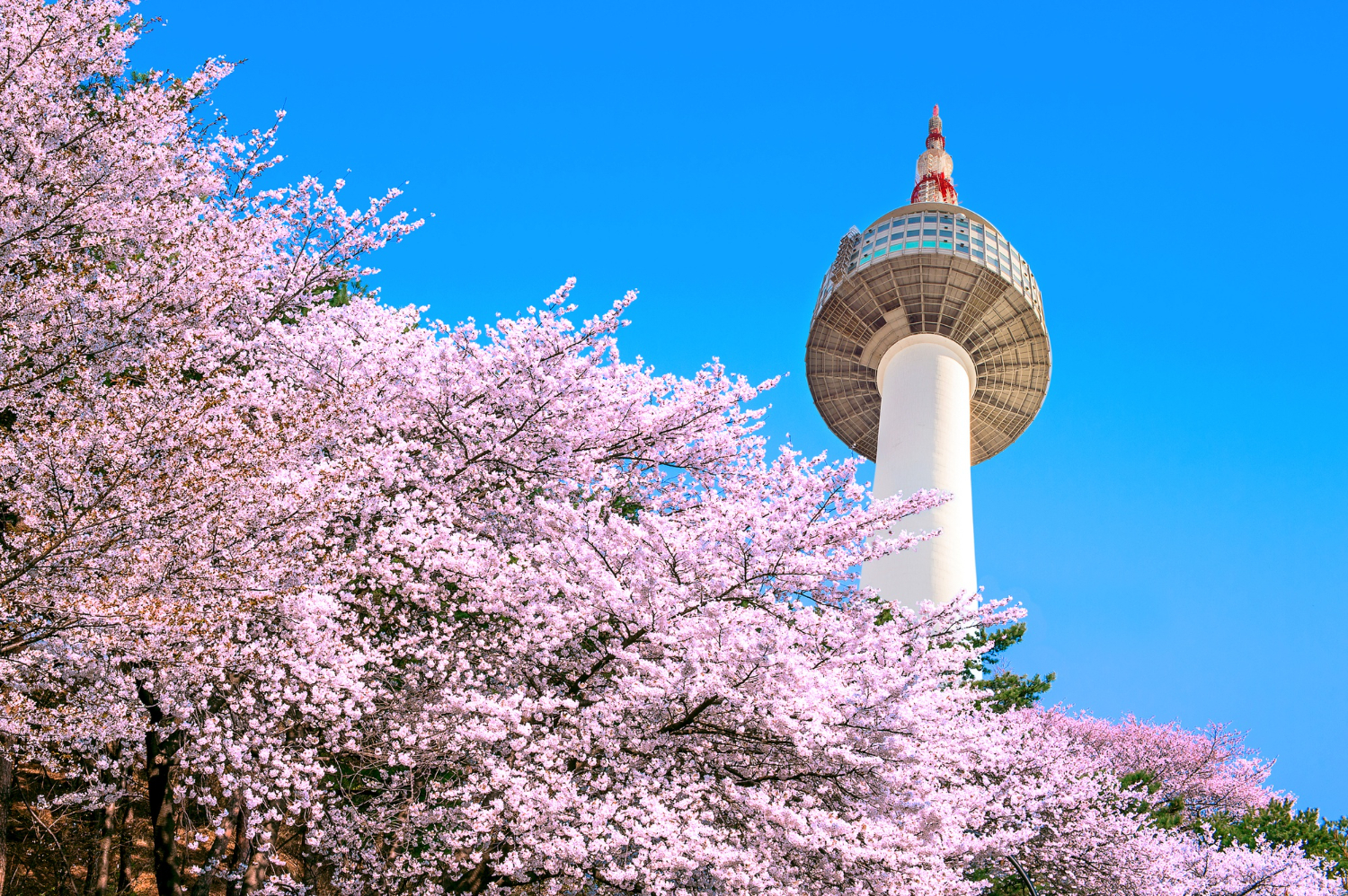 Spring Economy 2026/2027